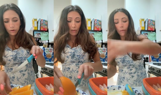 michelle.ann255 TikTok Live — Aug 24, 2026, 11:49 AM