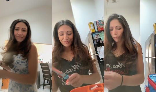 michelle.ann255 TikTok Live — Aug 24, 2026, 12:19 PM