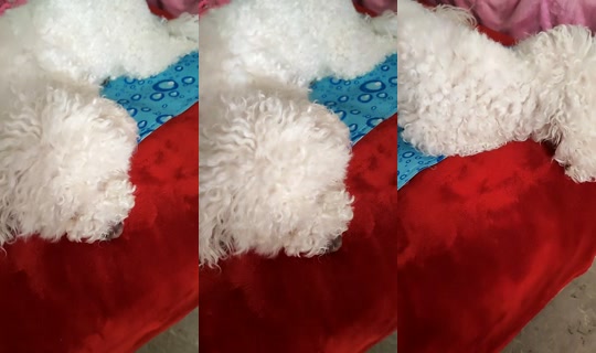 mikalove224 TikTok Live — Sep 10, 2026, 1:13 PM
