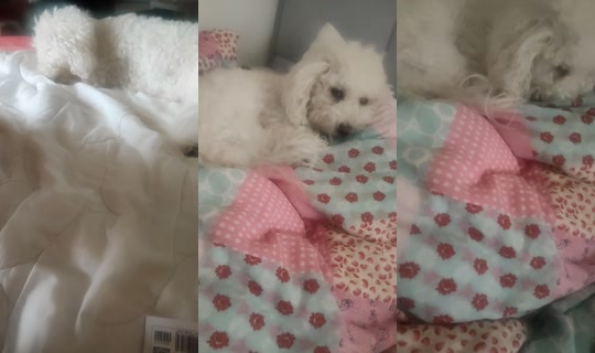 mikalove224 TikTok Live — Sep 16, 2026, 12:29 PM