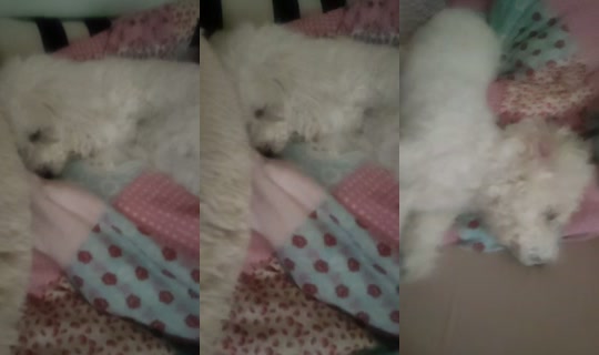 mikalove224 TikTok Live — Sep 16, 2026, 1:03 PM