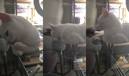 mimiajans TikTok Live — Aug 24, 2026, 9:09 PM