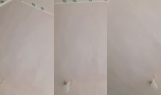 mimiskupendi TikTok Live — Oct 7, 2026, 7:26 PM