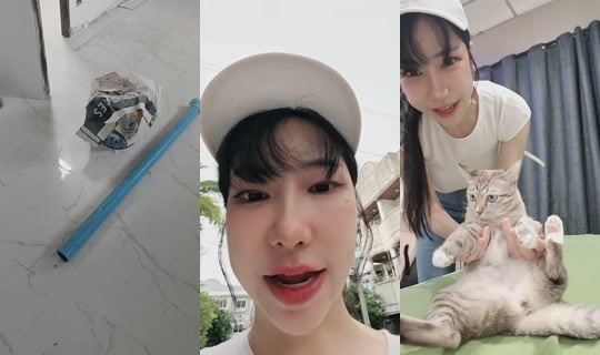 miraei55 TikTok Live — Oct 6, 2026, 9:19 AM