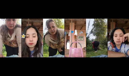 mirin_oficial1 TikTok Live — Aug 24, 2026, 3:04 PM
