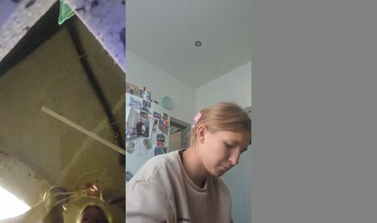 misiaczek__misia TikTok Live — Oct 5, 2026, 12:40 PM