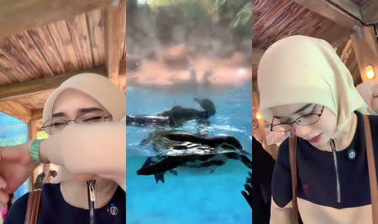 missfa91 TikTok Live — Aug 26, 2026, 8:01 AM