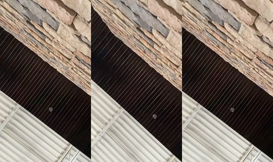 missg956 TikTok Live — Aug 23, 2026, 10:13 PM