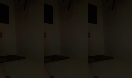 misshoney8888 TikTok Live — Aug 24, 2026, 3:40 AM