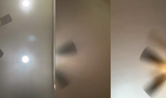 misshoney8888 TikTok Live — Aug 26, 2026, 12:38 AM