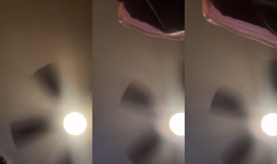misshoney8888 TikTok Live — Aug 29, 2026, 12:23 AM