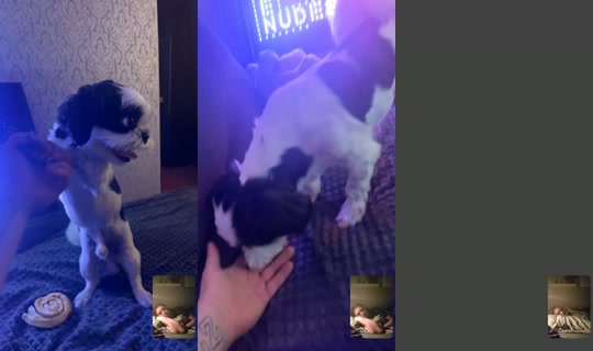 misspeachynoir TikTok Live — Aug 23, 2026, 9:34 PM