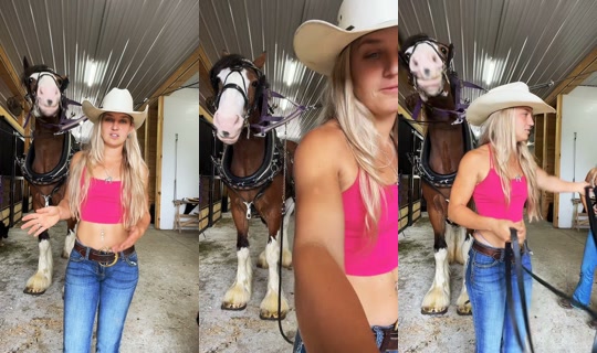 missstallgirl TikTok Live — Aug 25, 2026, 2:24 PM