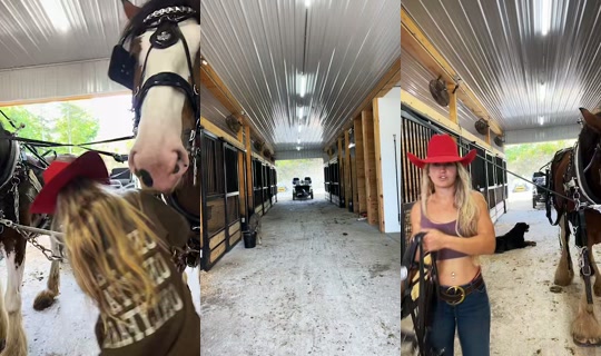 missstallgirl TikTok Live — Sep 15, 2026, 1:58 PM