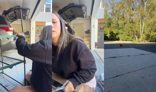 misstmariee TikTok Live — Oct 4, 2026, 8:31 PM