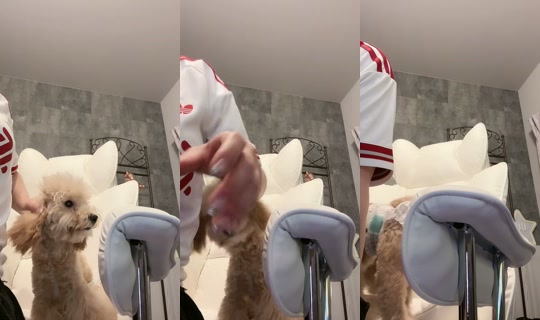 miusupura TikTok Live — Aug 24, 2026, 2:31 PM