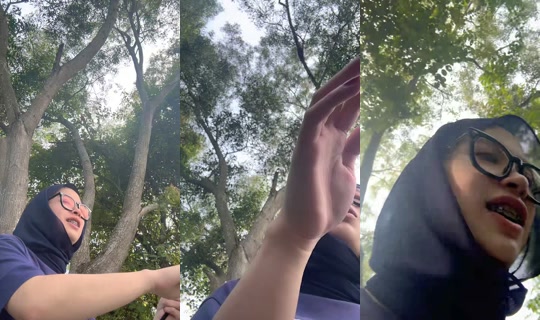 mmimi75 TikTok Live — Sep 1, 2026, 2:16 AM