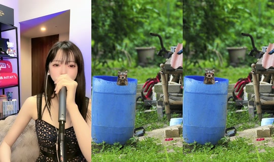 momokamomo11 TikTok Live — Sep 1, 2026, 2:50 PM