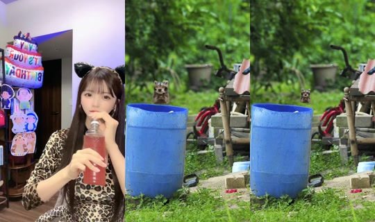momokamomo11 TikTok Live — Oct 2, 2026, 2:48 PM