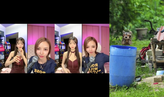 momokamomo11 TikTok Live — Oct 7, 2026, 3:06 PM