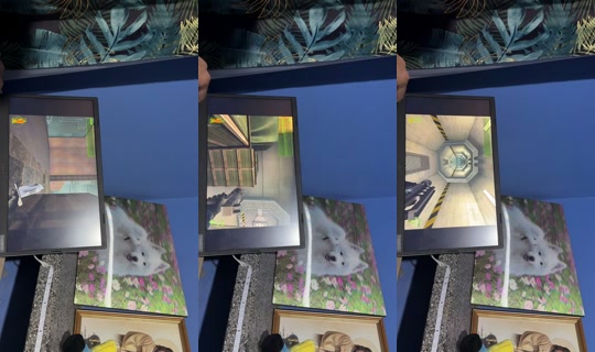 monia.gwiazda TikTok Live — Aug 23, 2026, 6:43 PM