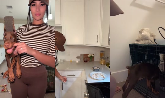 monicabaezzz TikTok Live — Sep 22, 2026, 11:43 PM