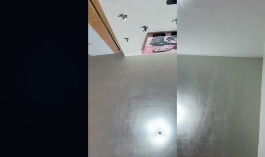 mop3151119 TikTok Live — Sep 1, 2026, 12:01 AM