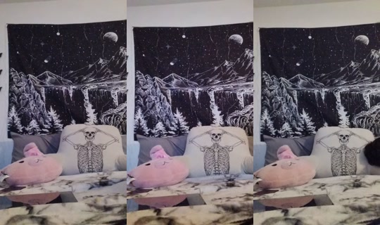 morbidbunnyproductions TikTok Live — Aug 27, 2026, 1:53 AM