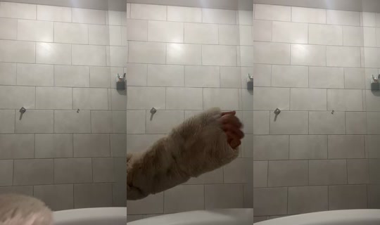 morinagawula TikTok Live — Aug 31, 2026, 7:21 AM