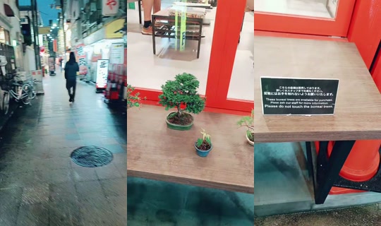 mr797349 TikTok Live — Oct 5, 2026, 8:54 AM