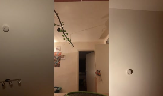 ms.shark.hellcat TikTok Live — Oct 4, 2026, 8:49 PM