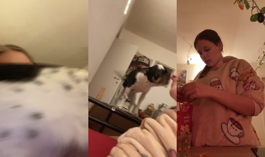 ms.shark.hellcat TikTok Live — Oct 7, 2026, 9:11 PM