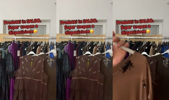 msflutter_ TikTok Live — Sep 6, 2026, 10:30 PM