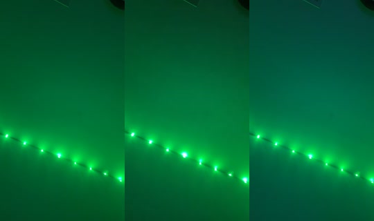 msgrippy101 TikTok Live — Oct 1, 2026, 1:28 PM