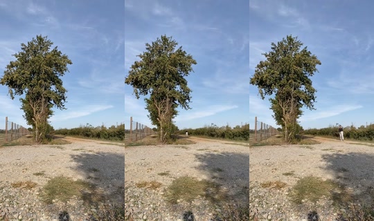 myllamorgana TikTok Live — Oct 4, 2026, 2:45 PM