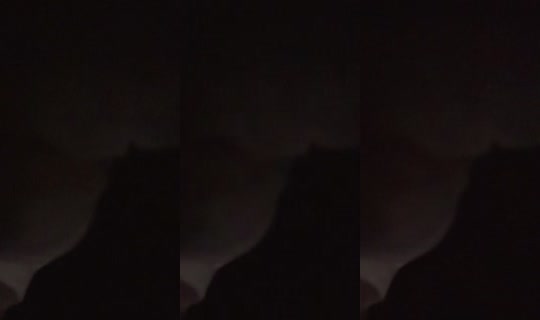 myname1sname TikTok Live — Sep 26, 2026, 8:15 PM
