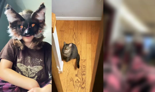 mysharksons_3 TikTok Live — Aug 20, 2026, 2:26 PM