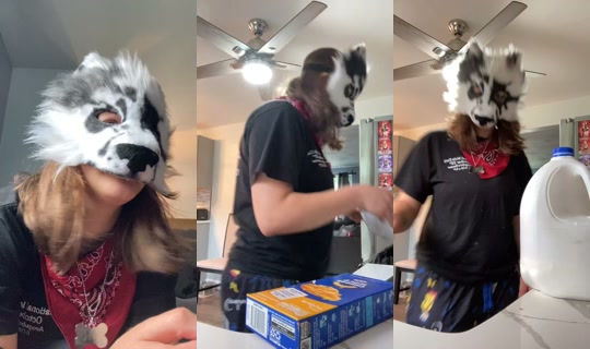 mysharksons_3 TikTok Live — Sep 18, 2026, 2:27 PM