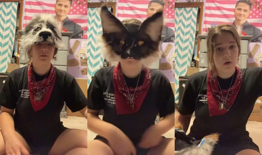 mysharksons_3 TikTok Live — Sep 18, 2026, 11:33 PM