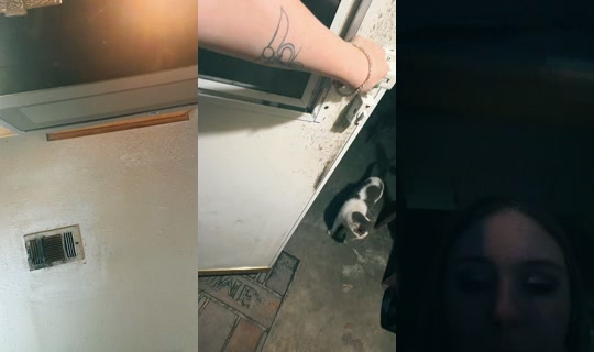mystickitty1o1 TikTok Live — Sep 17, 2026, 9:48 AM