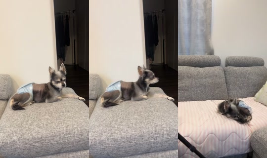 na_channn TikTok Live — Aug 26, 2026, 9:12 PM