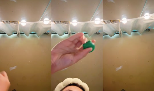 nails.by.aria21 TikTok Live — Sep 13, 2026, 2:54 PM