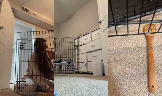 nalaandcourt TikTok Live — Oct 4, 2026, 11:33 PM