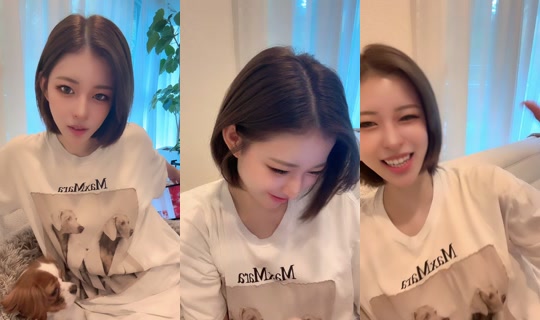 nana.inusuki TikTok Live — Aug 24, 2026, 6:26 AM
