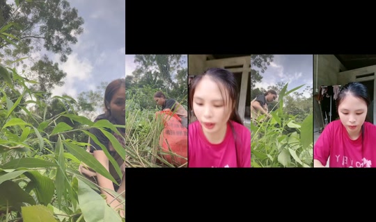 nana_singlemom TikTok Live — Oct 4, 2026, 9:28 AM