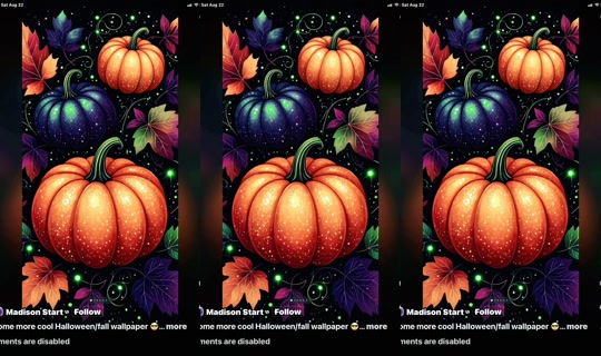 nancygracie0 TikTok Live — Sep 27, 2026, 8:11 PM