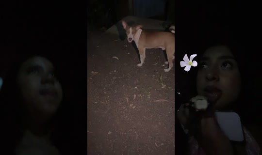 nany.744 TikTok Live — Aug 22, 2026, 1:00 AM