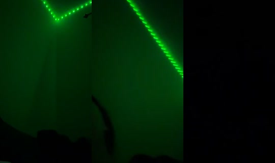 natalia.marie510 TikTok Live — Sep 13, 2026, 4:29 AM