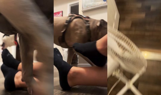 natalieasweet77 TikTok Live — Oct 8, 2026, 1:58 PM