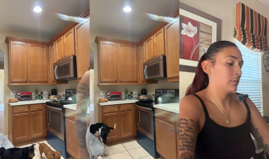 nathalinostades TikTok Live — Aug 29, 2026, 1:00 PM
